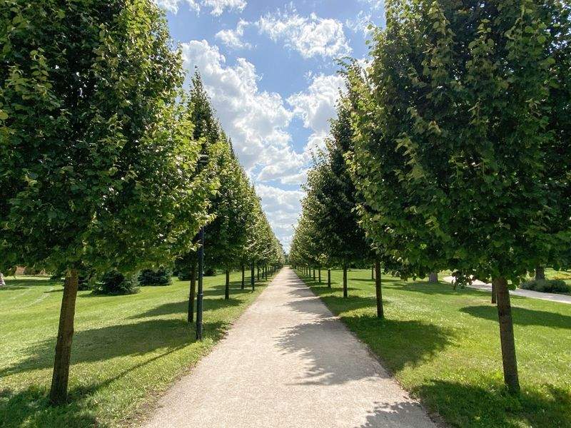VerdeVivo Jardinería Paulista 10