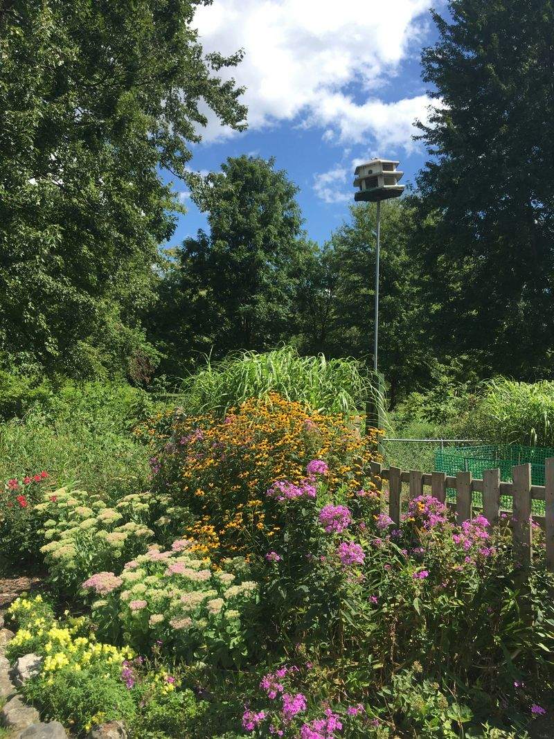 VerdeVivo Jardinería Paulista 6