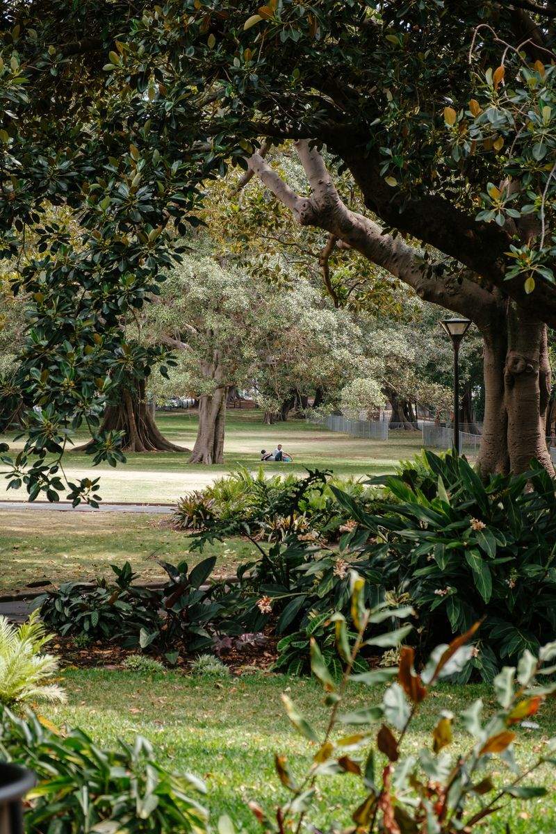 Mantenimiento de jardines